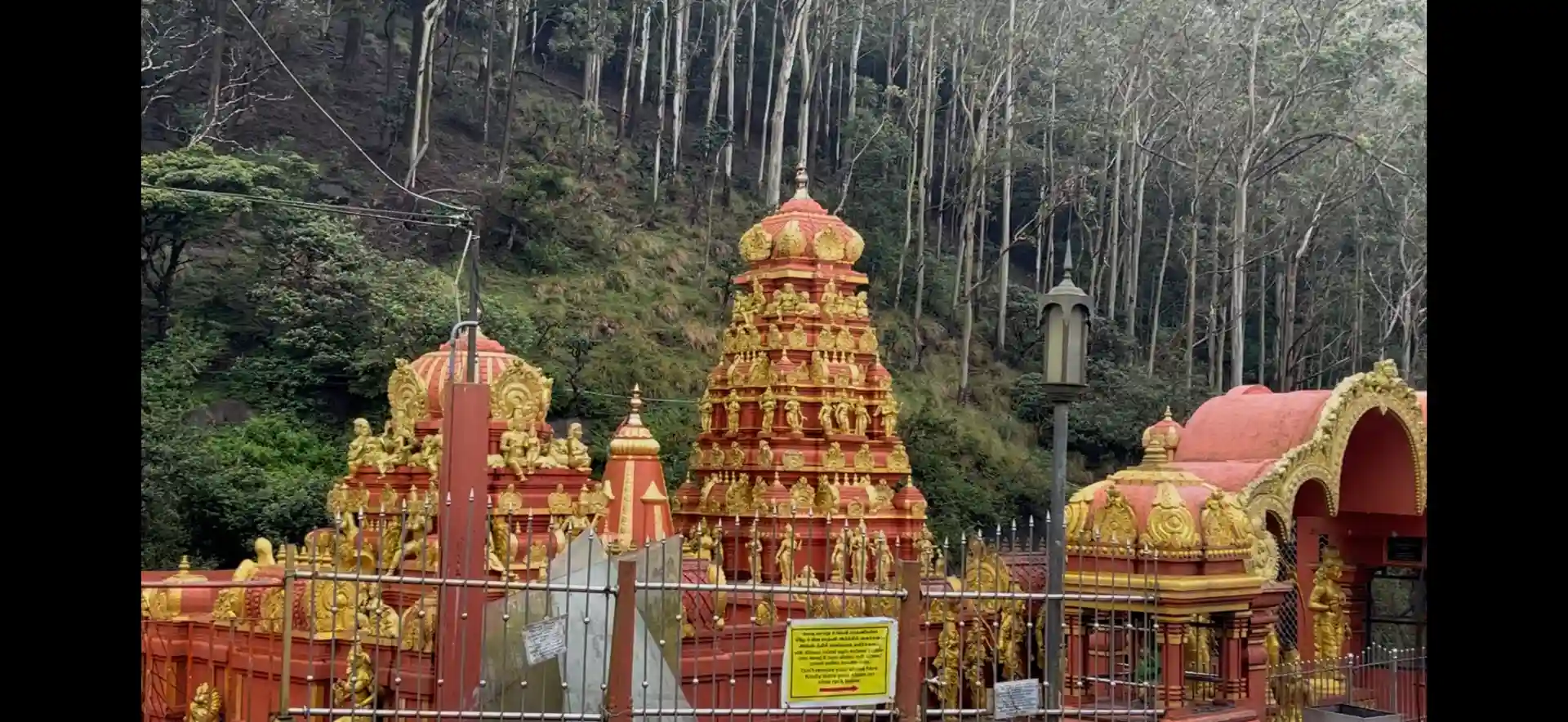 Kandy – Nuwara Eliya 