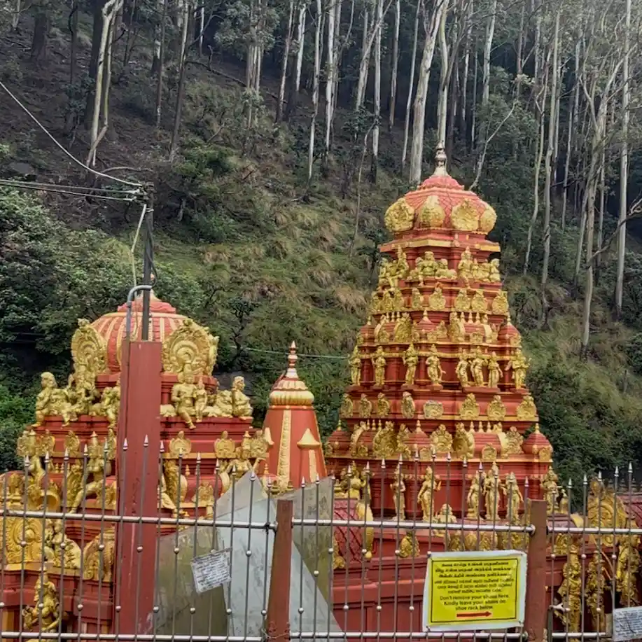 Kandy – Nuwara Eliya 
