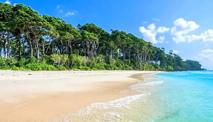 Explore Andaman with Baratang