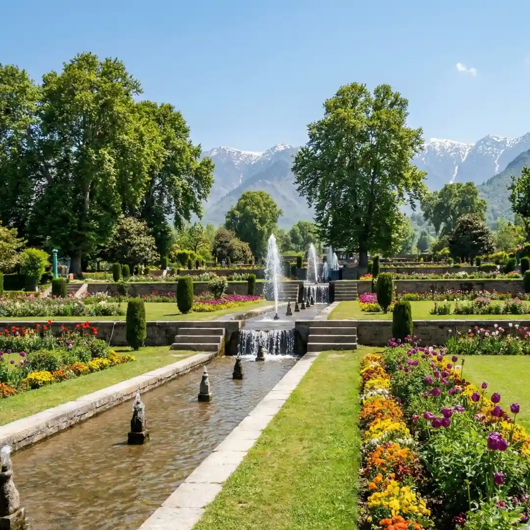 Srinagar Local Sightseeing