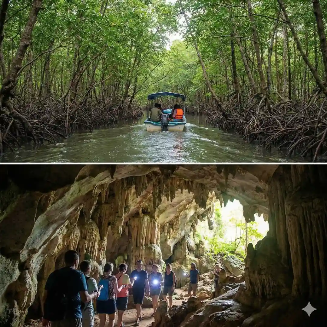 Baratang day trip - Image 2